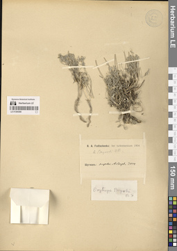 LE 01304380