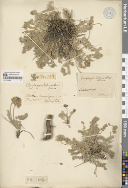 LE 01304444