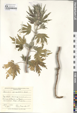 LE 01307328