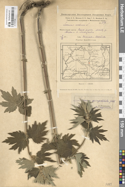LE 01307342