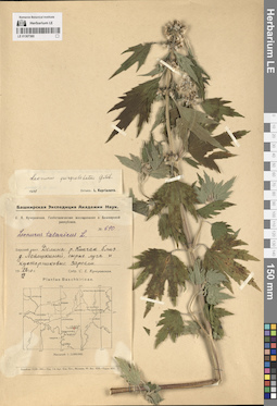 LE 01307360