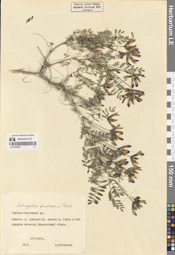 LE 01305501
