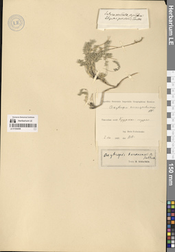 LE 01304458
