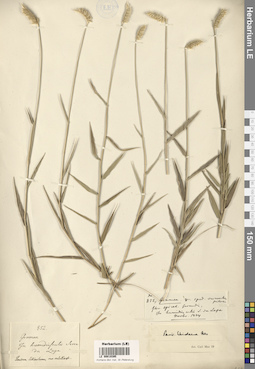 LE 00019395