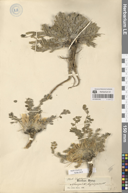 LE 01051541