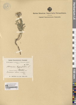 LE 01305682