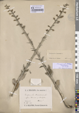 LE 01292090
