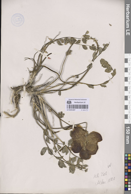 LE 01051607