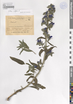 LE 01209832