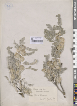 LE 01051640