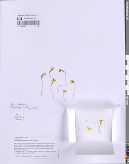 LE 01232948