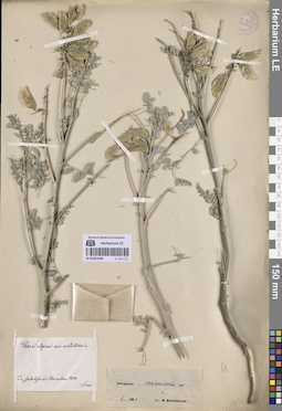 LE 01051668