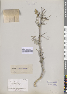 LE 01051669
