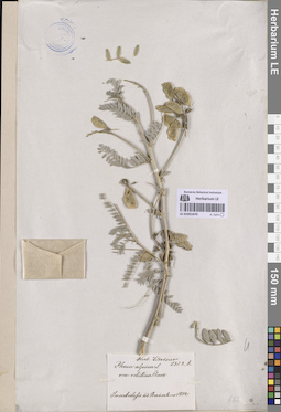 LE 01051670