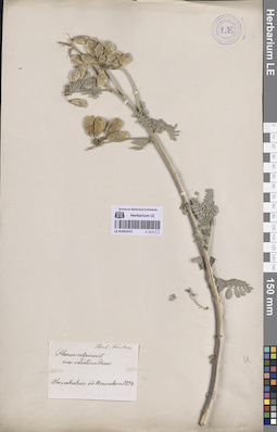 LE 01051671