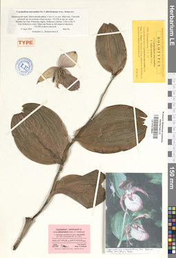 LE 01010804