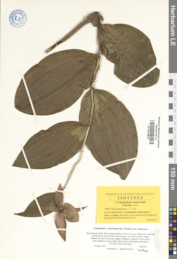 LE 01010810