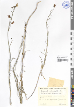 LE 01209061