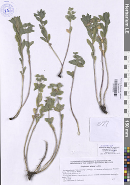 LE 01043595