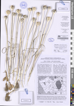 LE 01044045