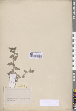 LE 01052510