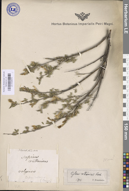 LE 01024073
