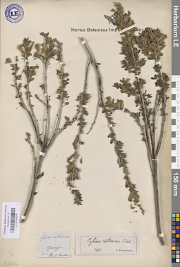 LE 01024075