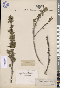 LE 01024076