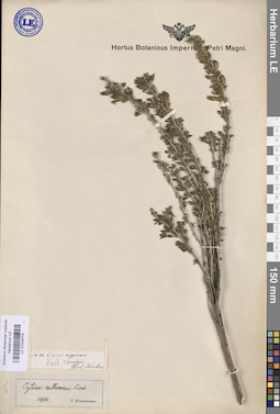 LE 01024079