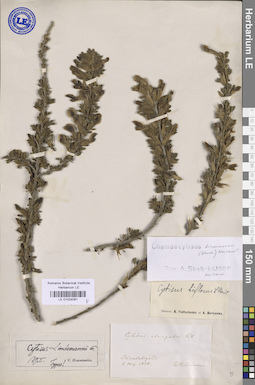 LE 01024081