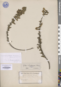 LE 01024082