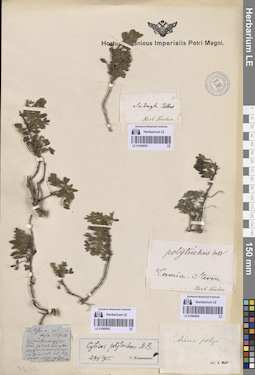 LE 01080955