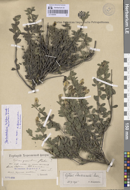 LE 01080956