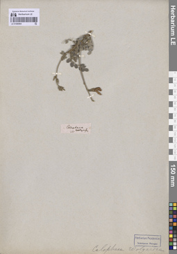 LE 01080964