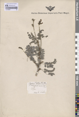 LE 01080965