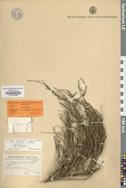 LE 01011689
