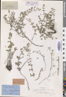 LE 01009730