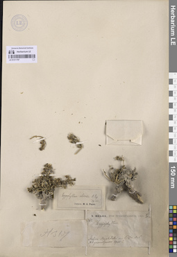 LE 01311797