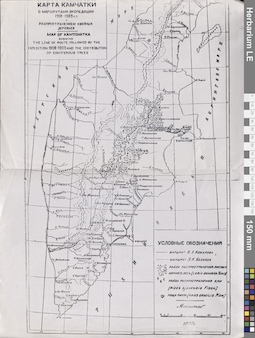 Карта Камчатки с маршрутами экспедиций 1908-1909 гг и распространением хвойных деревьев (1927)