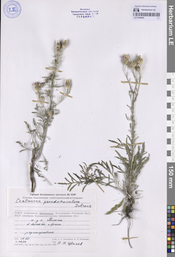 LE 01064808