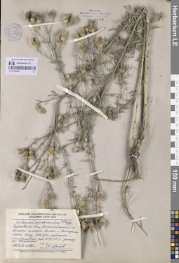 LE 01064825
