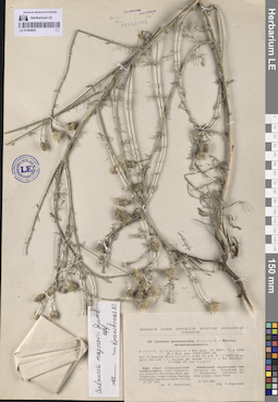 LE 01064829