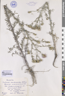 LE 01064842