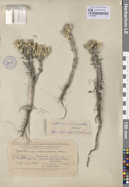 LE 01064854