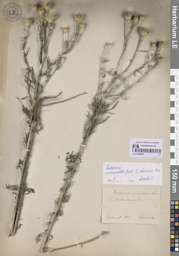 LE 01064861