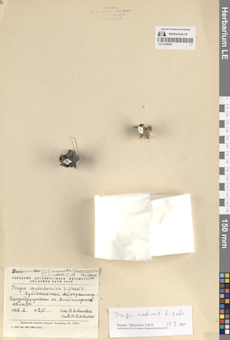 LE 01309506