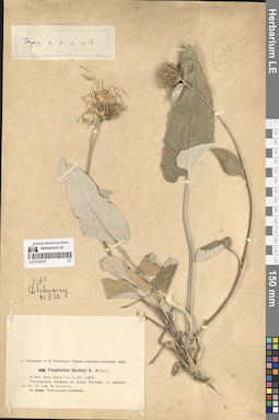 LE 01323121