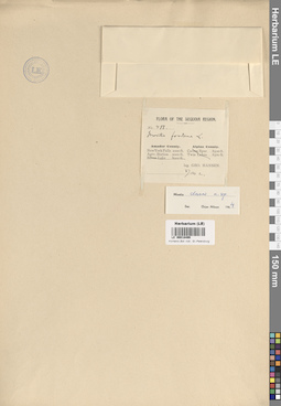 LE 00018499