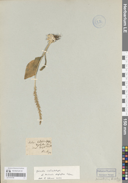 LE 01107106