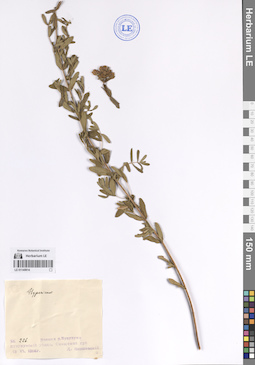 LE 01140814